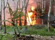 Dua Hari Berturut-turut Kebakaran Hebat di HGU PT Hindoli, Warga Desak Aparat Tindak Tegas Illegal Drilling