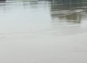 Lalu Lintas Ponton Batu Bara di Sungai Musi,Risiko memicu kerusakan Infrastruktur jembatan Musi, Pemerintah Diminta Bertindak Segera.