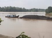 Diduga Tak Berizin, Tongkang Batu Bara PT Batu Bara Mandiri Bebas Lintasi Sungai Musi, Infrastruktur dan Lingkungan Terancam
