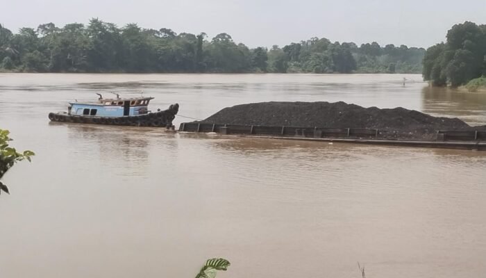 Diduga Tak Berizin, Tongkang Batu Bara PT Batu Bara Mandiri Bebas Lintasi Sungai Musi, Infrastruktur dan Lingkungan Terancam