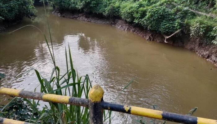 Klarifikasi Dugaan Pencemaran Sungai Berau, Hasil Pengecekan: Kondisi Air Masih Baik